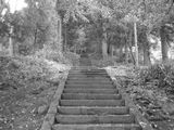 Long Stairway