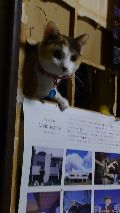 Fuji