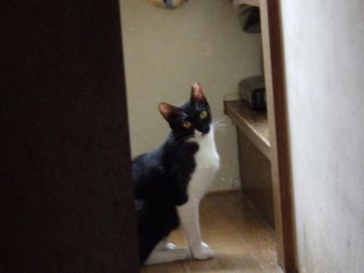 aoi01